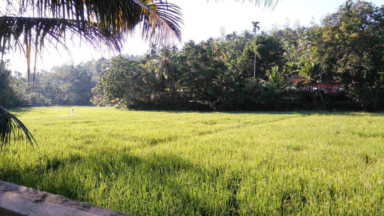 Villa Paddy Fields View ミリッサ エクステリア 写真